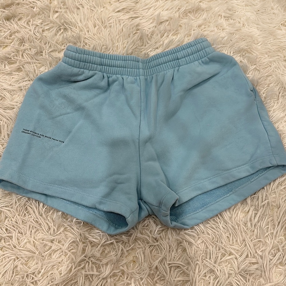 COPY - Pangaia shorts,